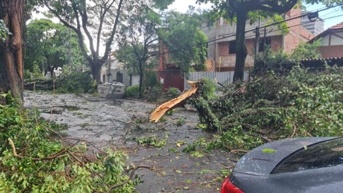 Rua alagada com galhos e árvores caídas após forte chuva, em área urbana.