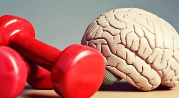 peso vermelho e cerebro, mostrando a saúde física e mental 